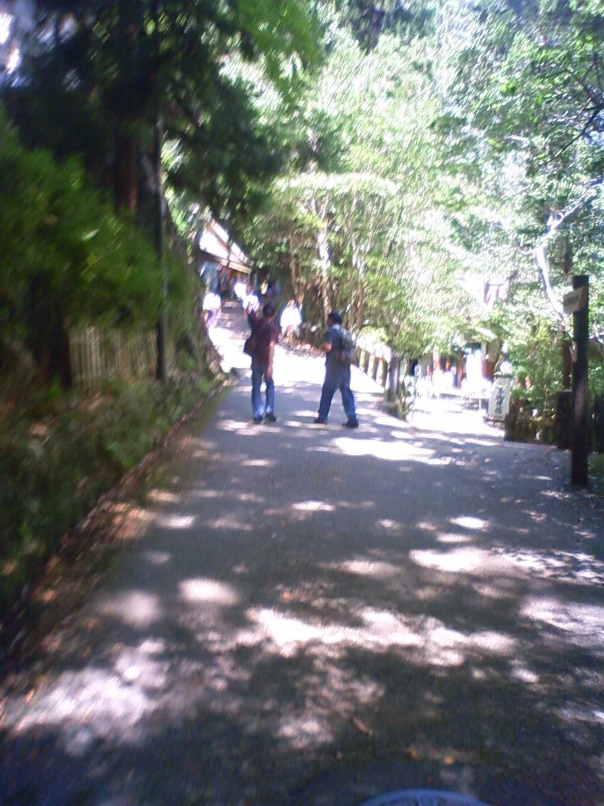 NEC_0552.JPG
