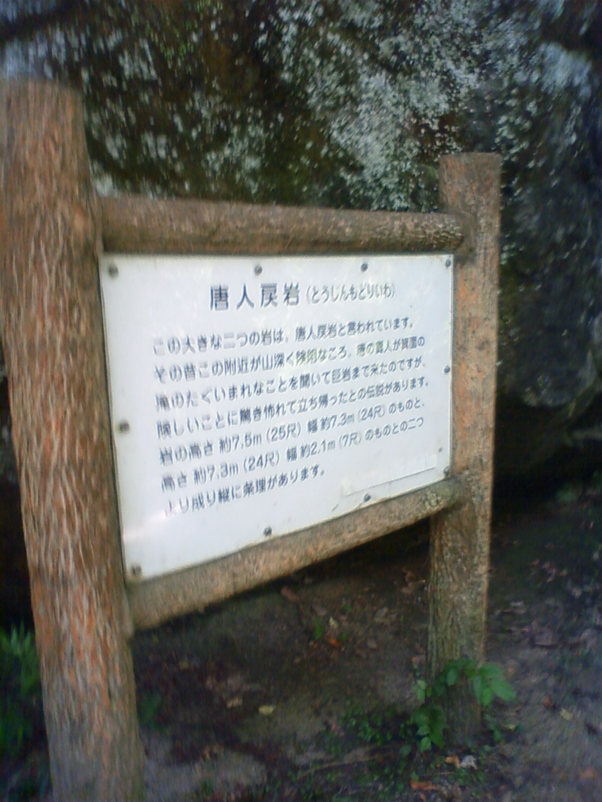 NEC_0559.JPG
