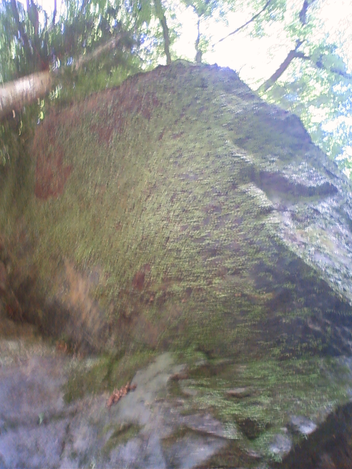 NEC_0560.JPG