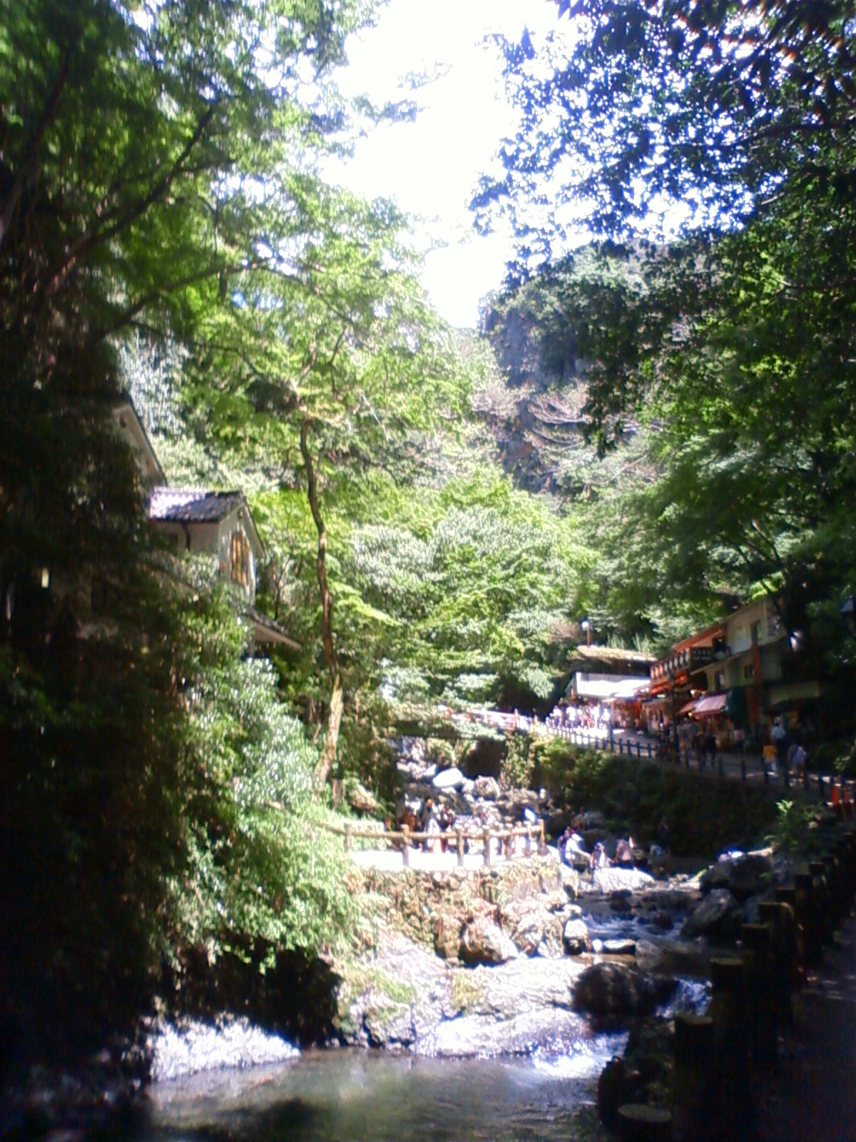 NEC_0562.JPG