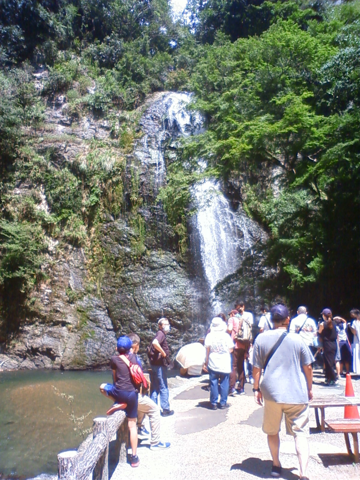NEC_0567.JPG