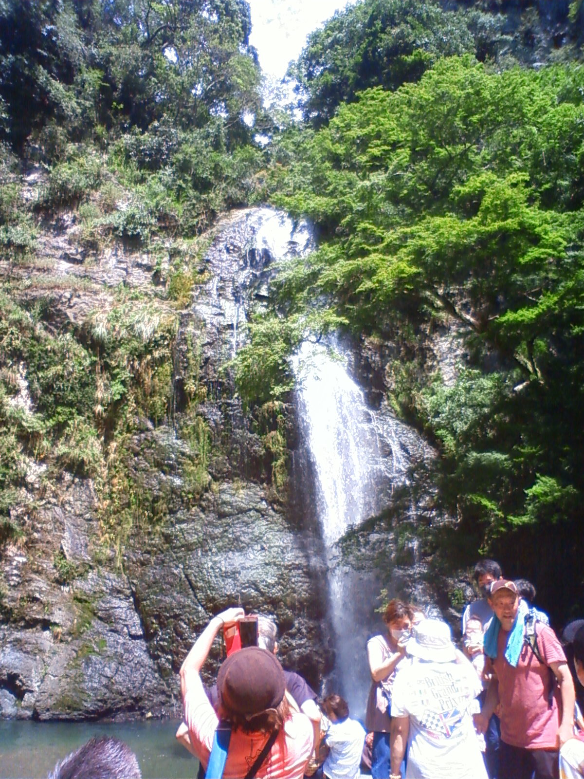 NEC_0568.JPG