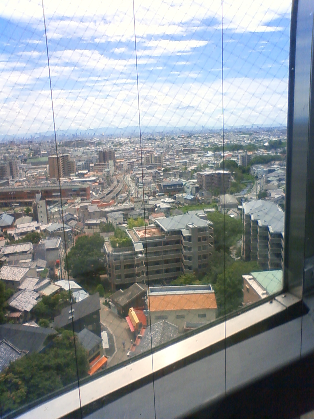 NEC_0574.JPG