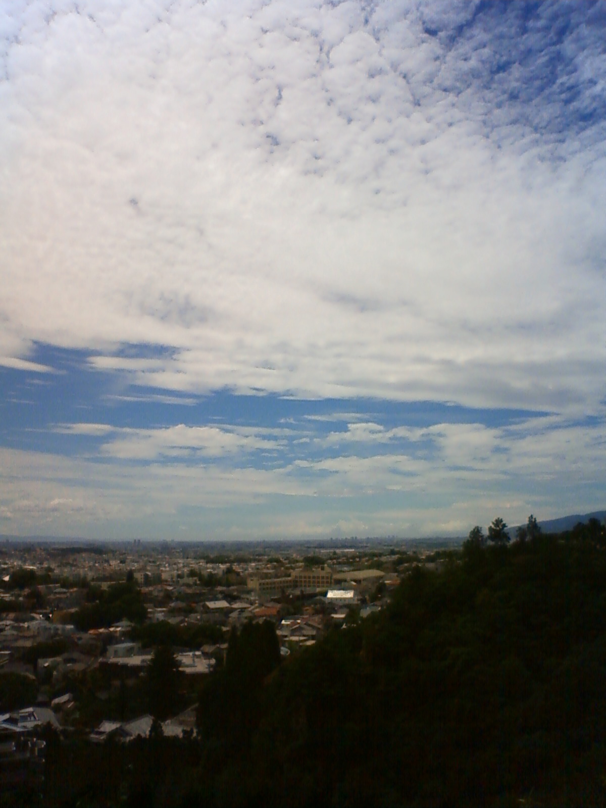 NEC_0575.JPG