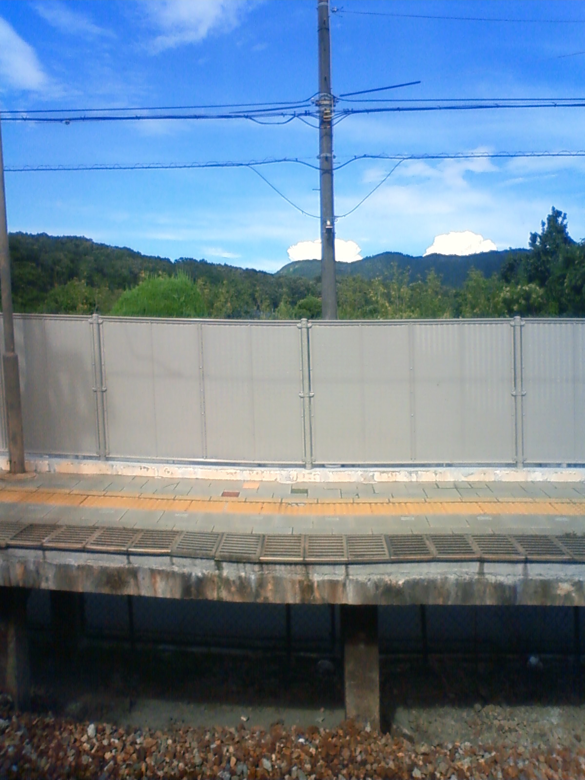 NEC_0581.JPG