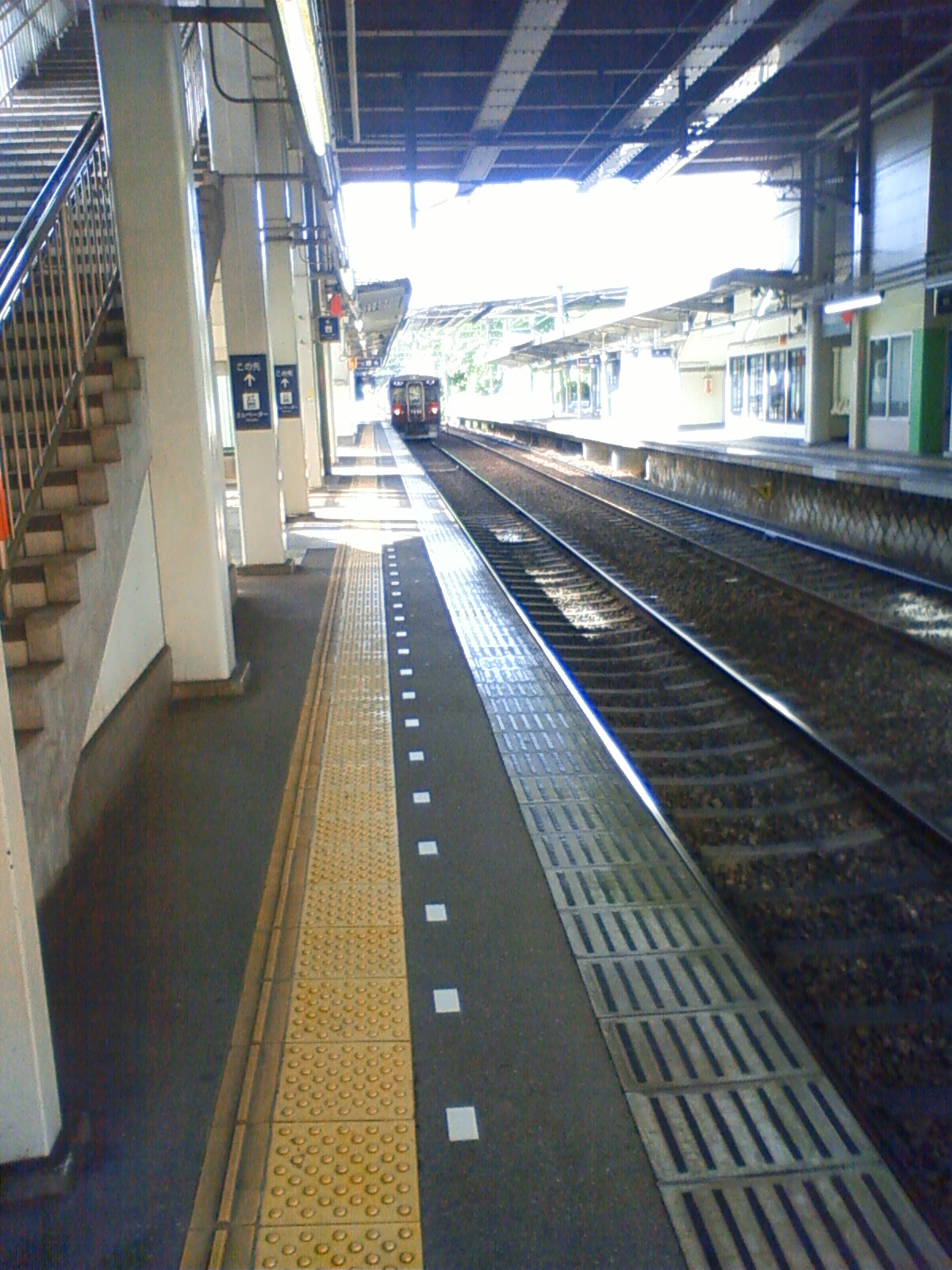 NEC_0585.JPG