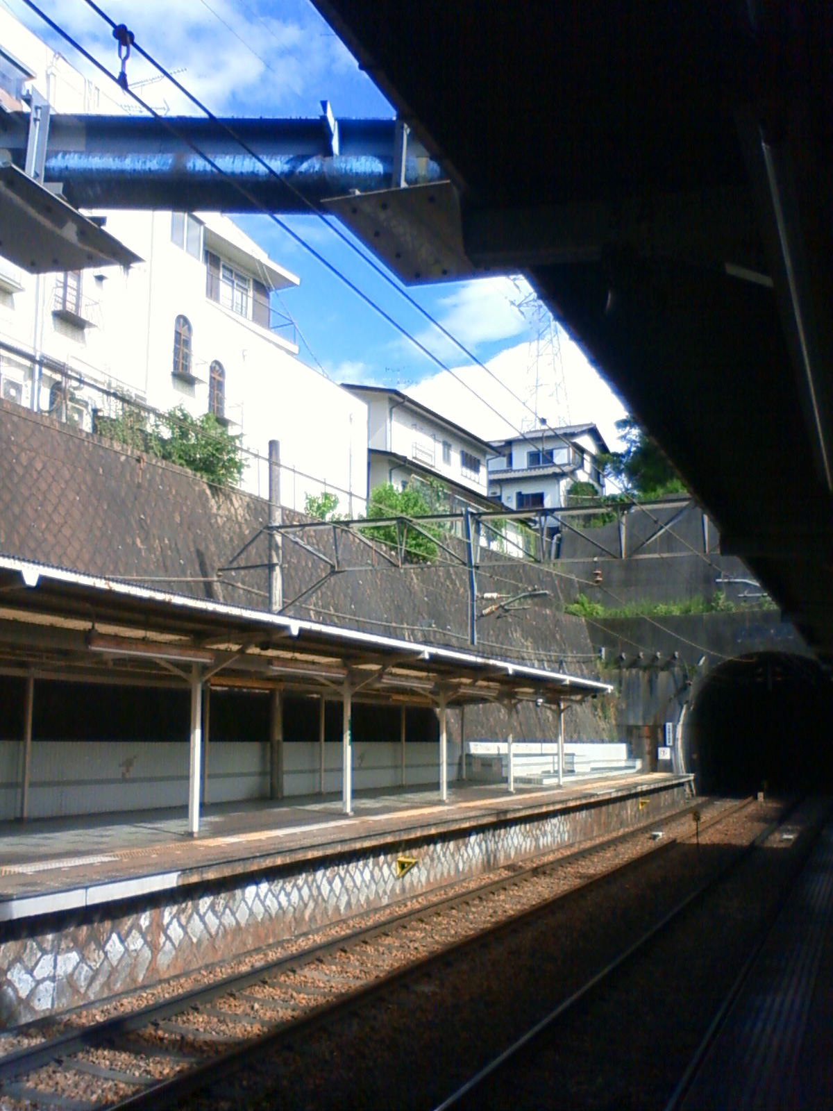 NEC_0586.JPG