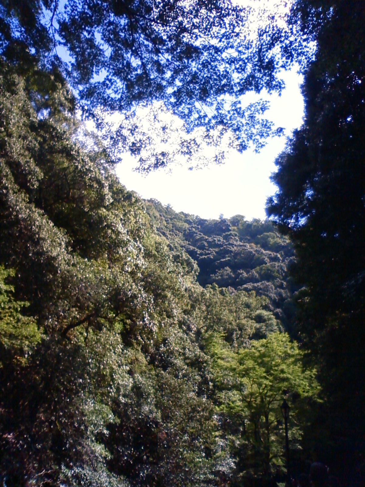 NEC_1508.JPG