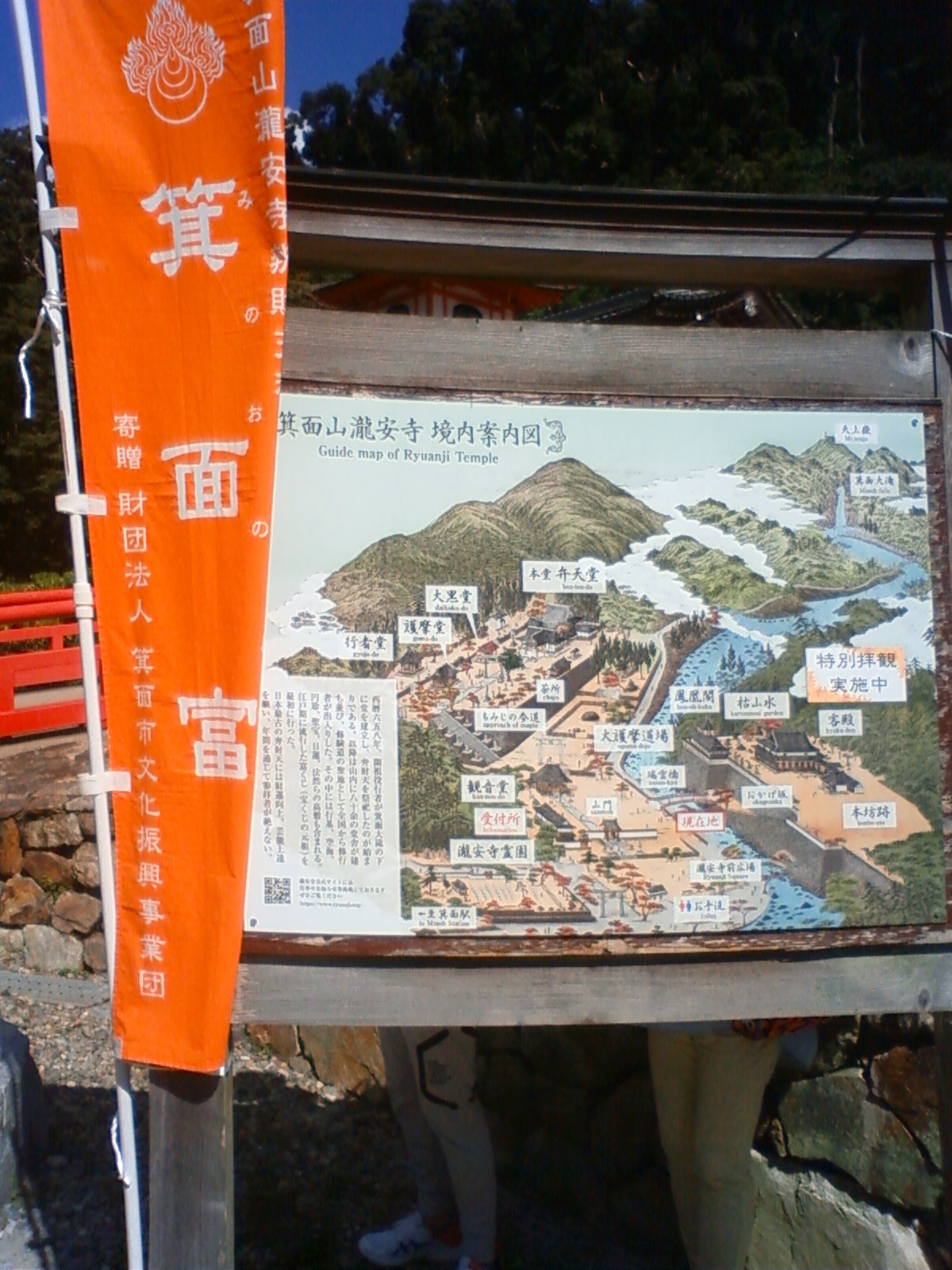NEC_1511.JPG