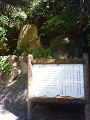 NEC_1526_thumb.png