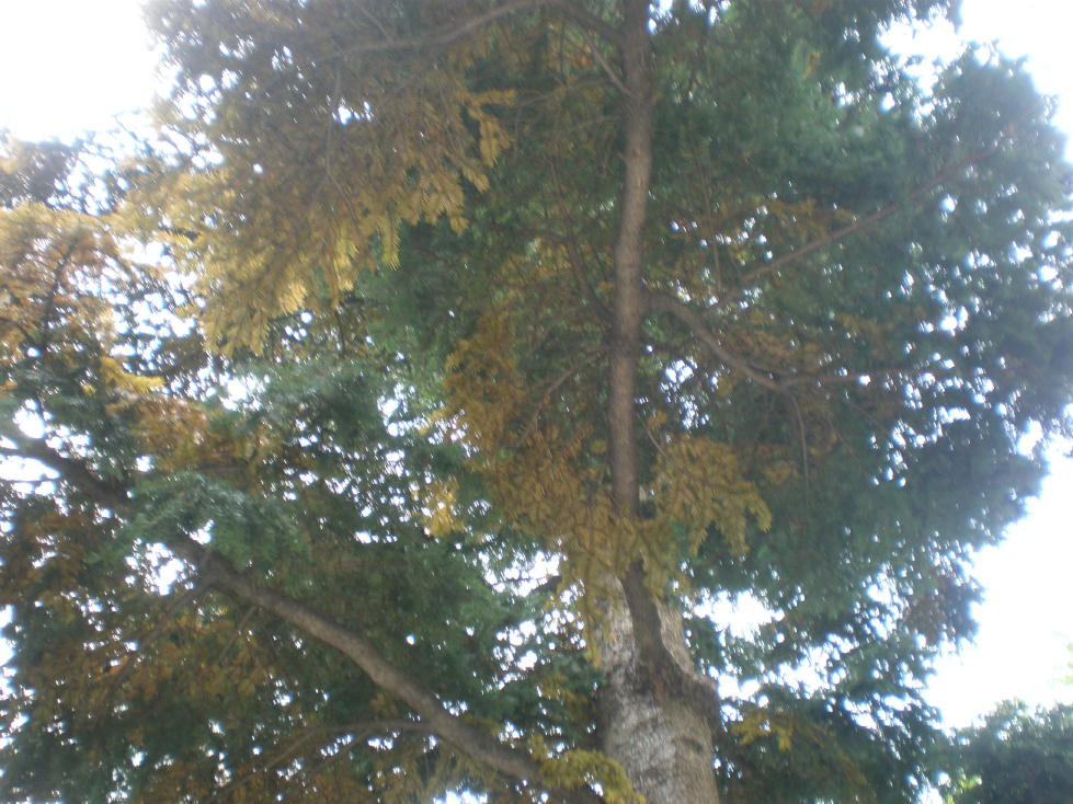 PB200112_1_1.JPG