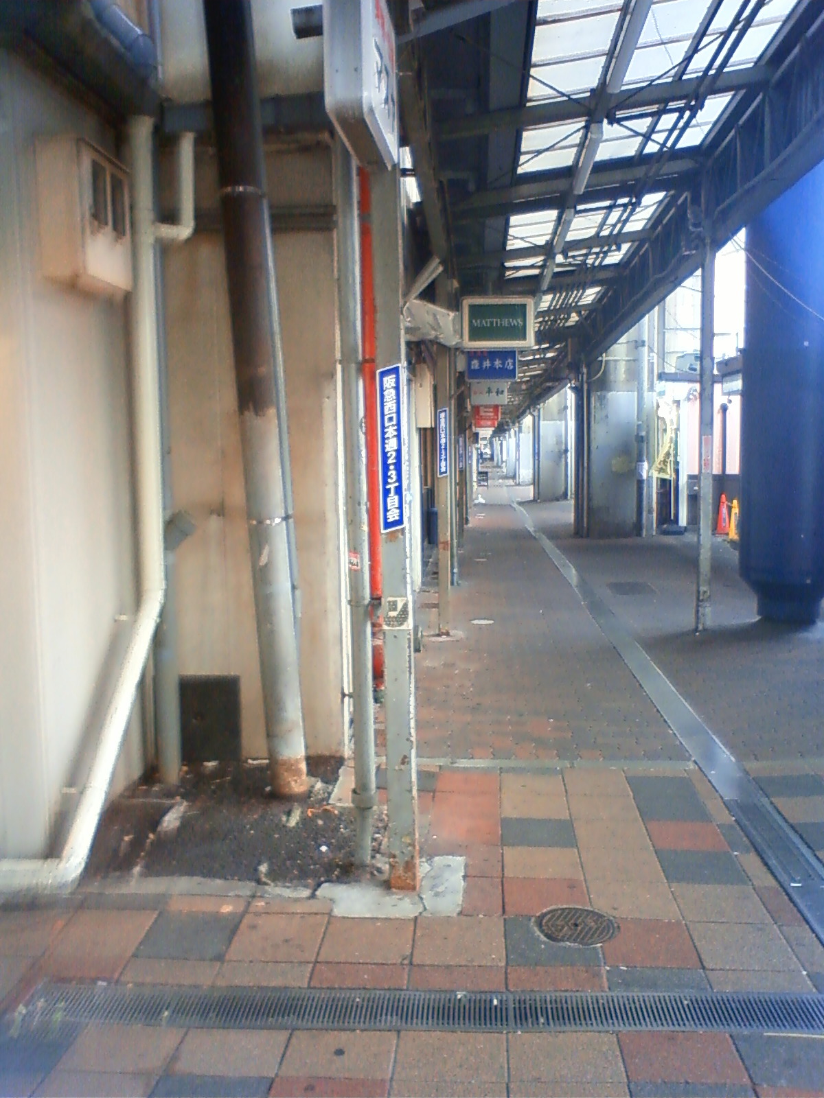 NEC_0018.JPG