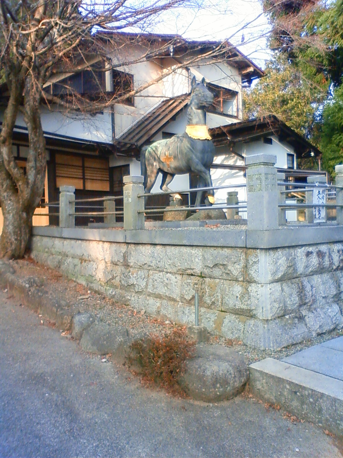NEC_1720.JPG