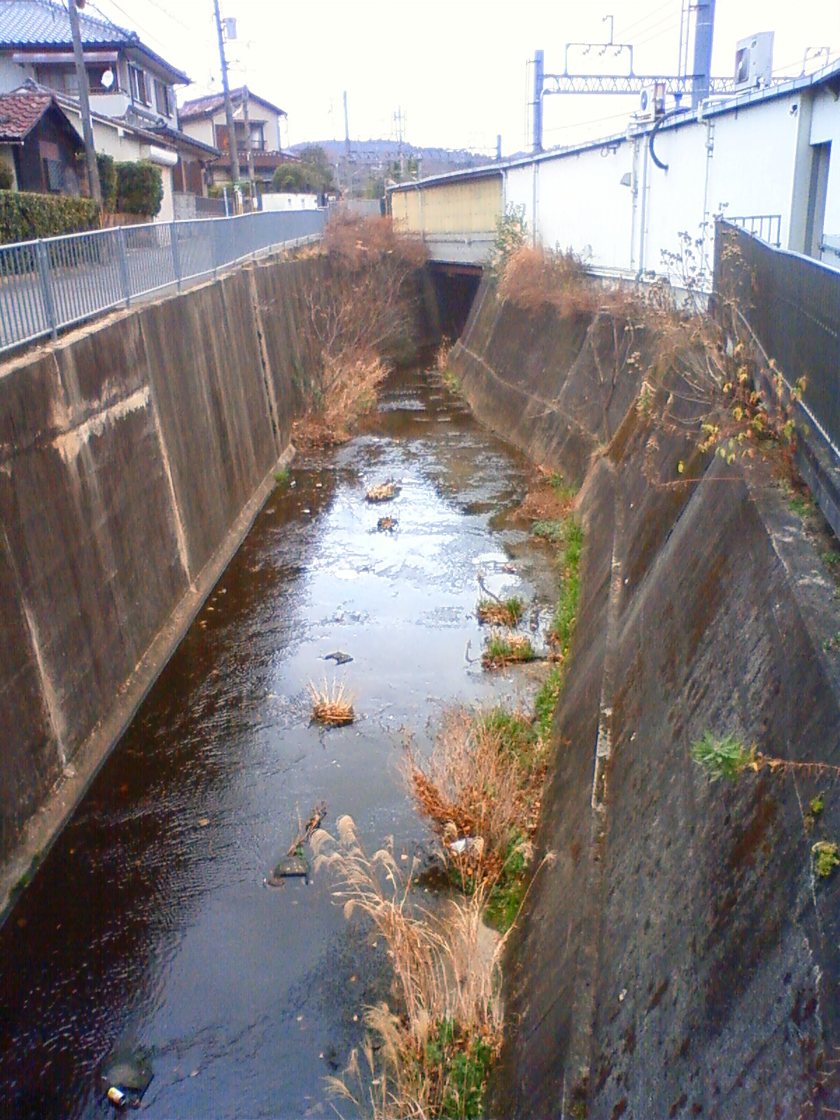 NEC_0137.JPG