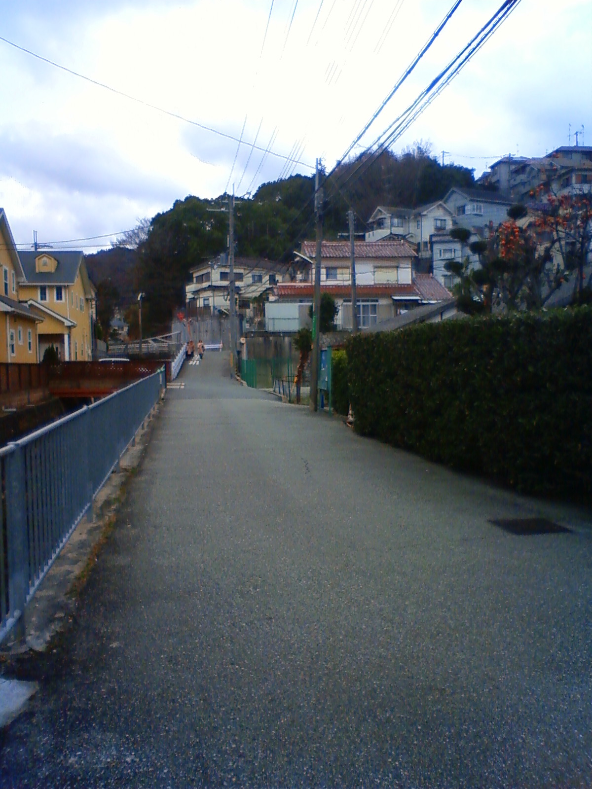 NEC_0139.JPG