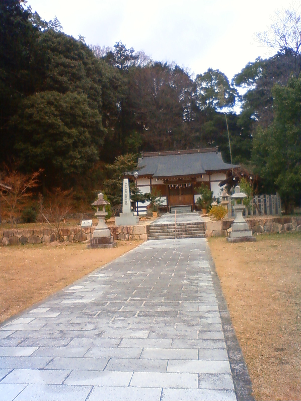NEC_0140.JPG