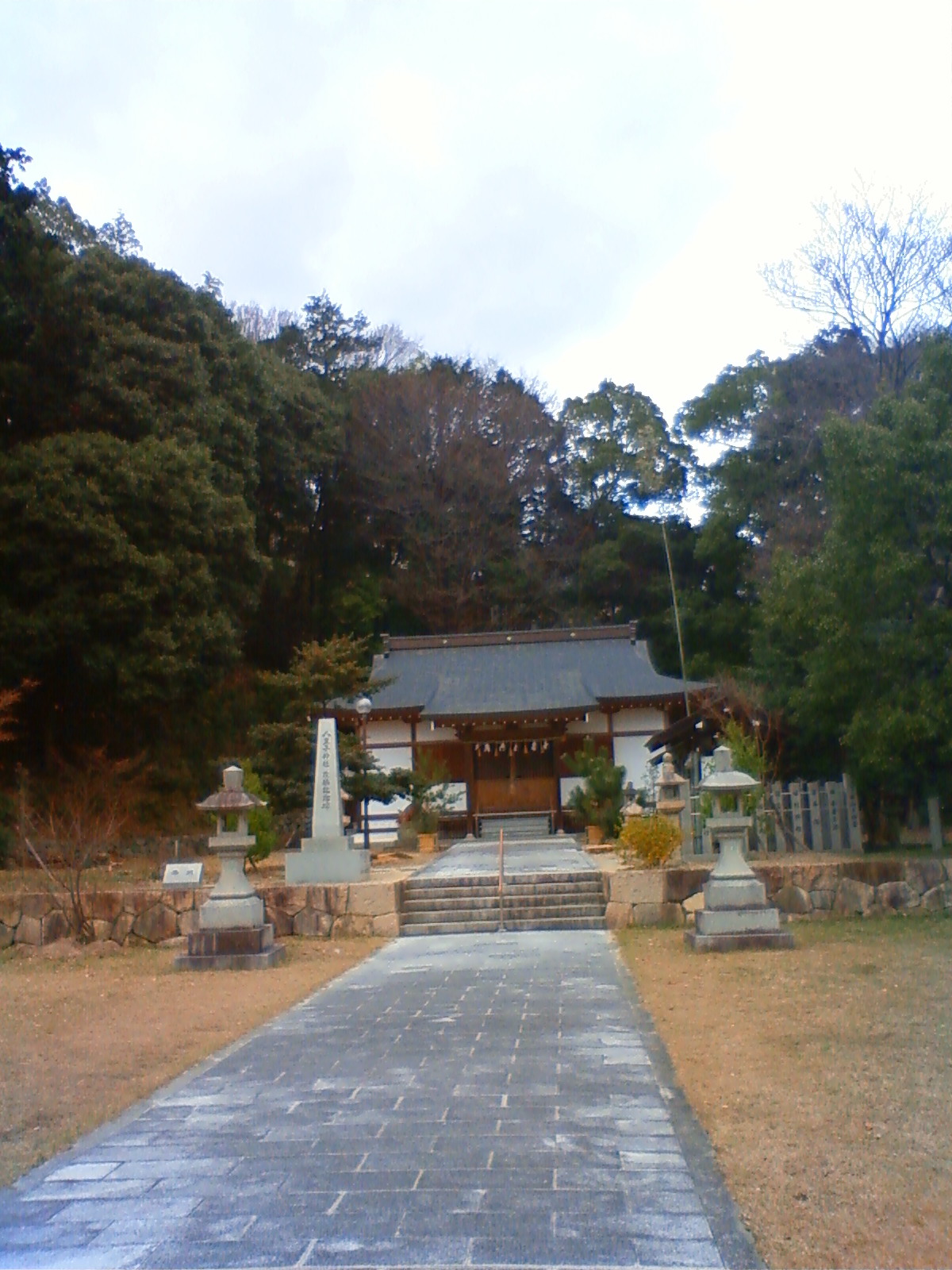 NEC_0141.JPG