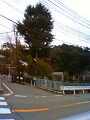 NEC_0143_thumb.png