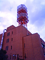 NEC_0146_thumb.png