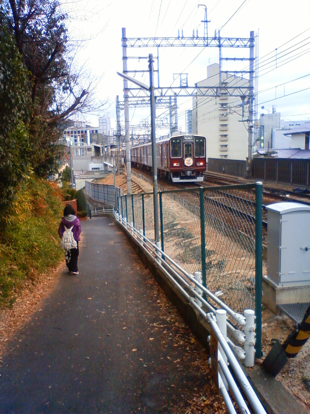 NEC_0149.JPG