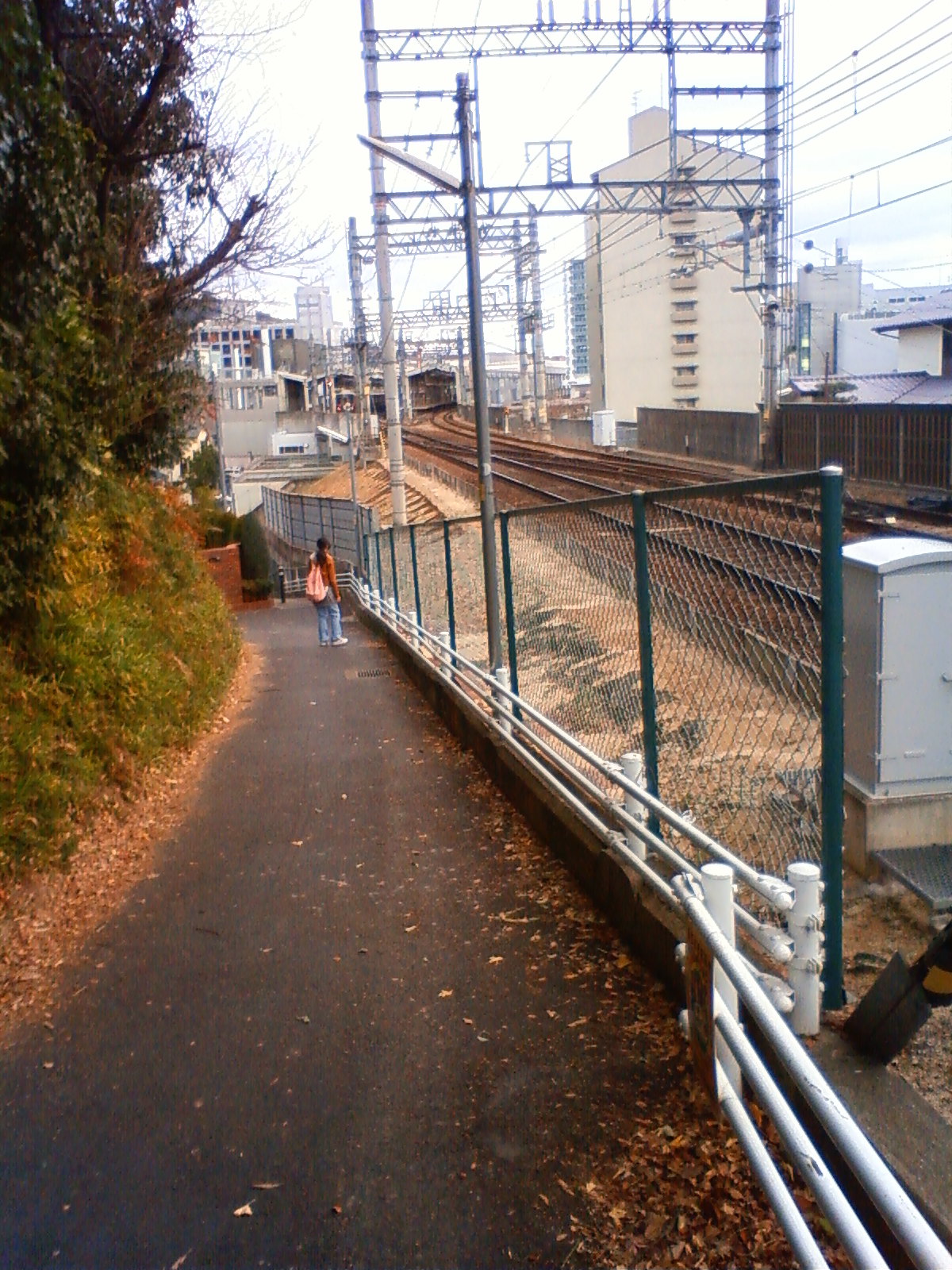 NEC_0150.JPG