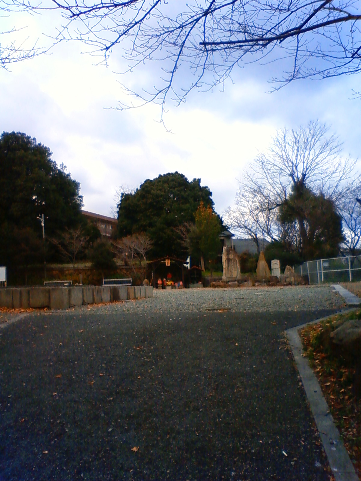 NEC_0151.JPG