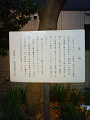 NEC_0154_thumb.png