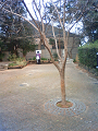 NEC_0158_thumb.png