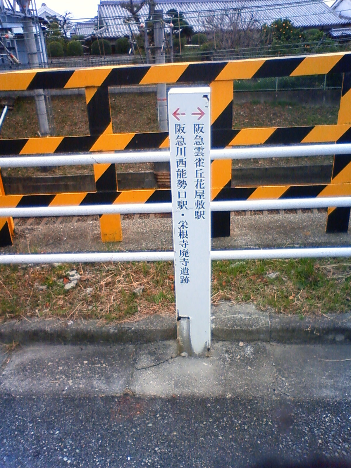 NEC_0161.JPG