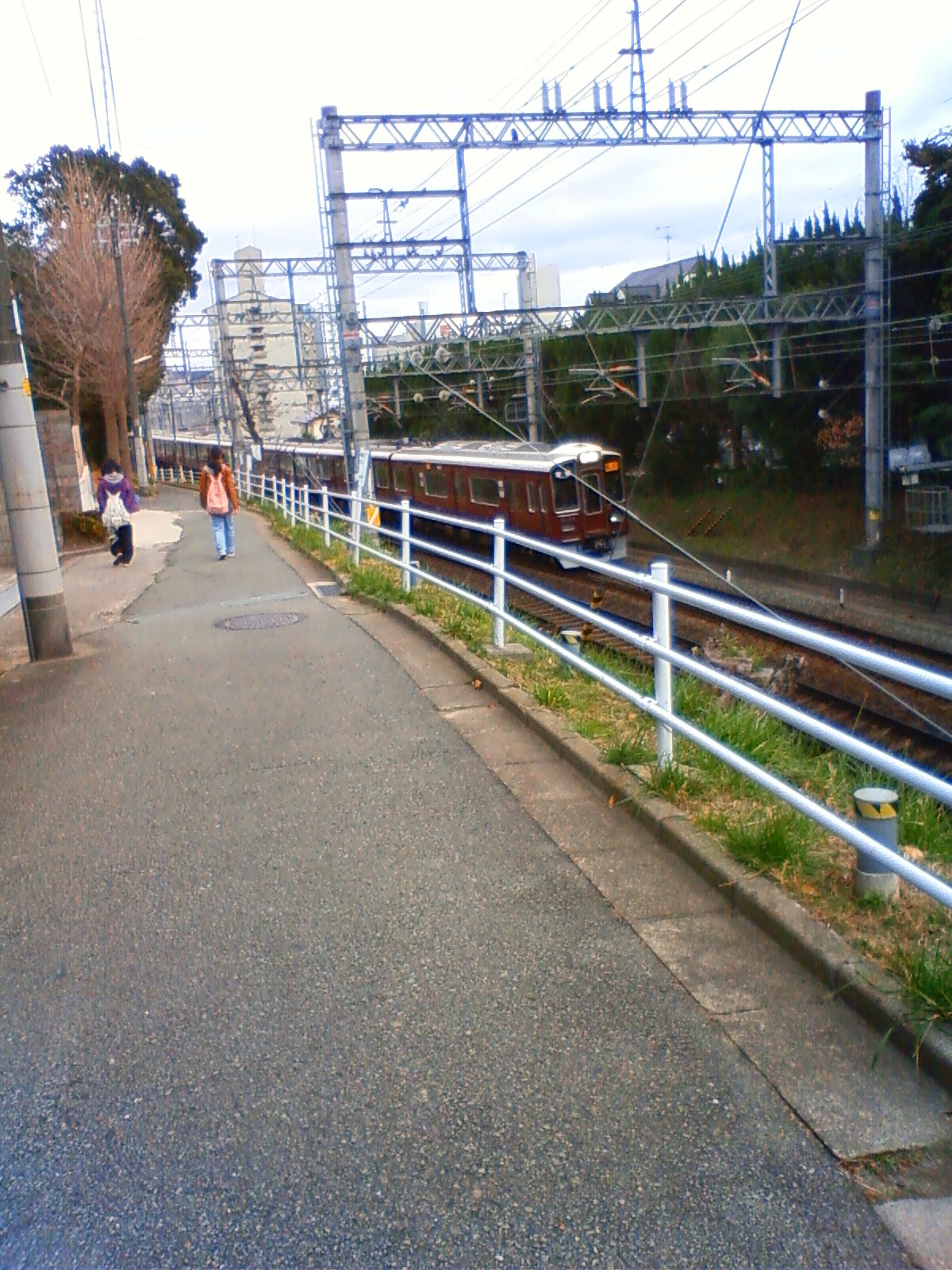 NEC_0166.JPG