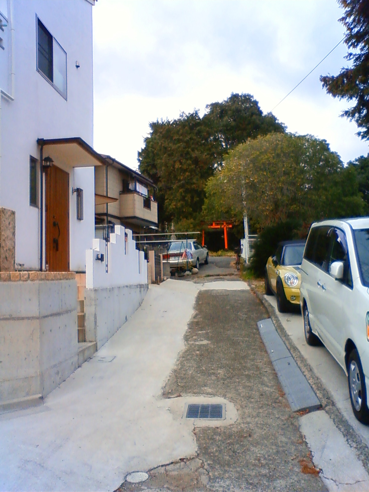 NEC_0168.JPG