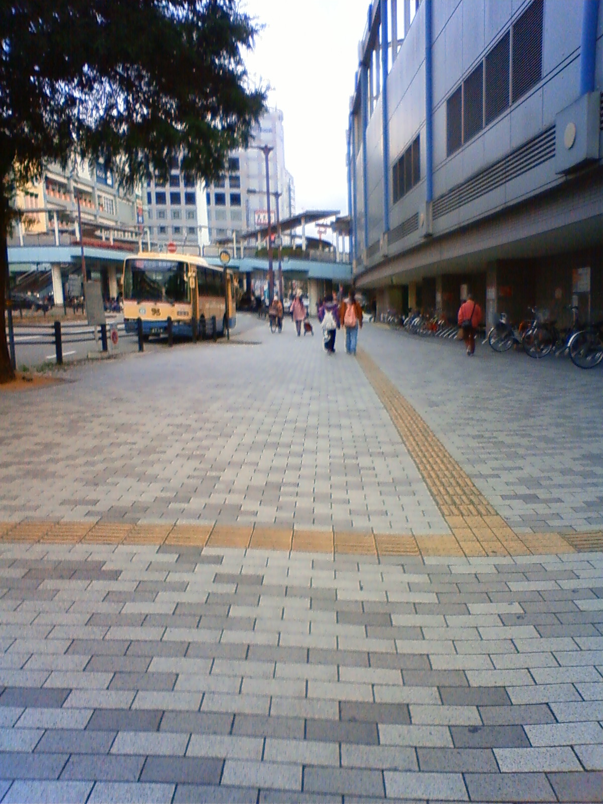 NEC_0172.JPG