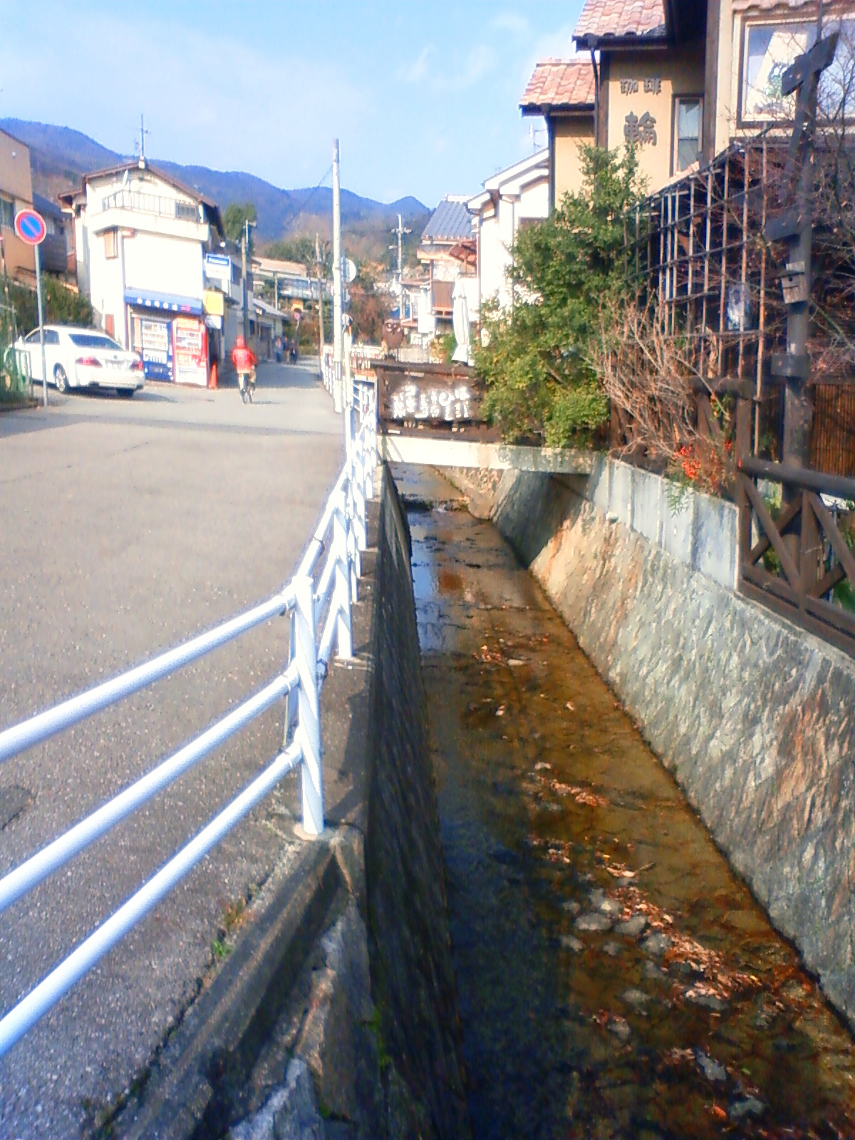 NEC_1675.JPG
