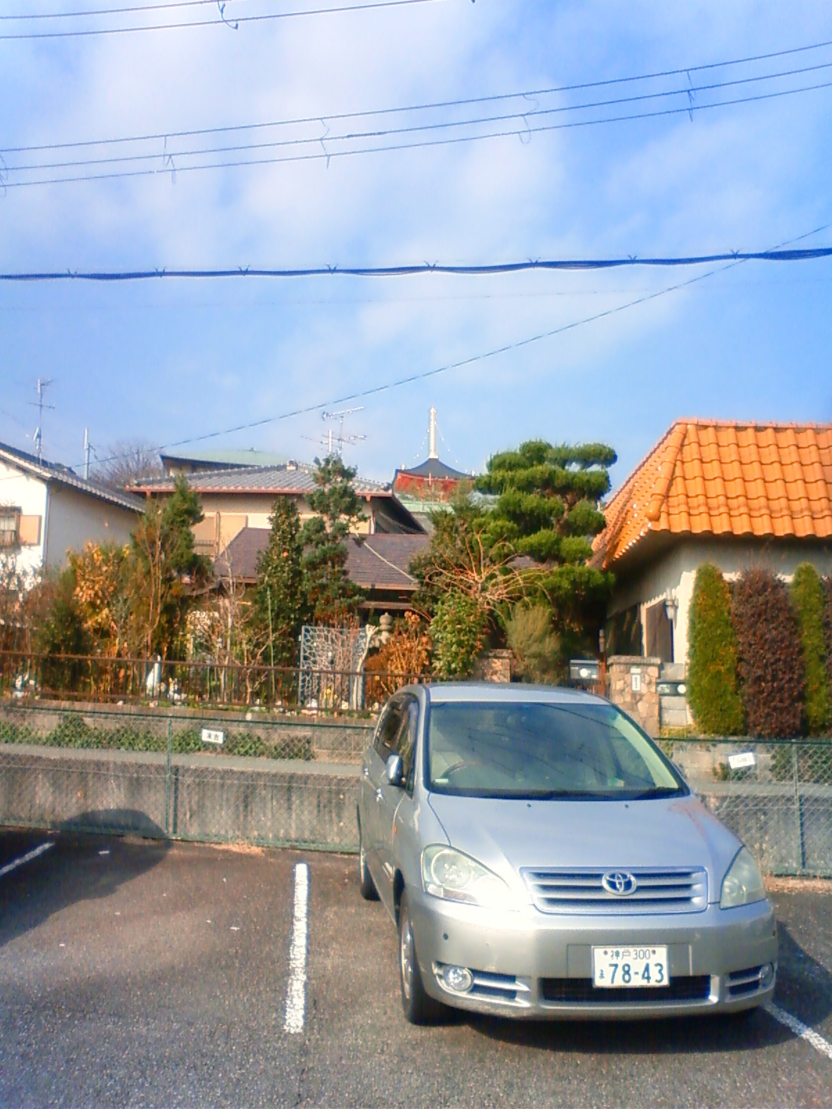 NEC_1690.JPG