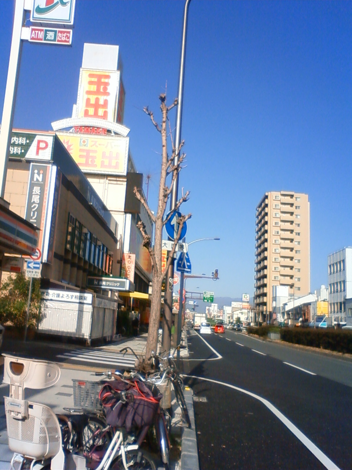 NEC_0978.JPG