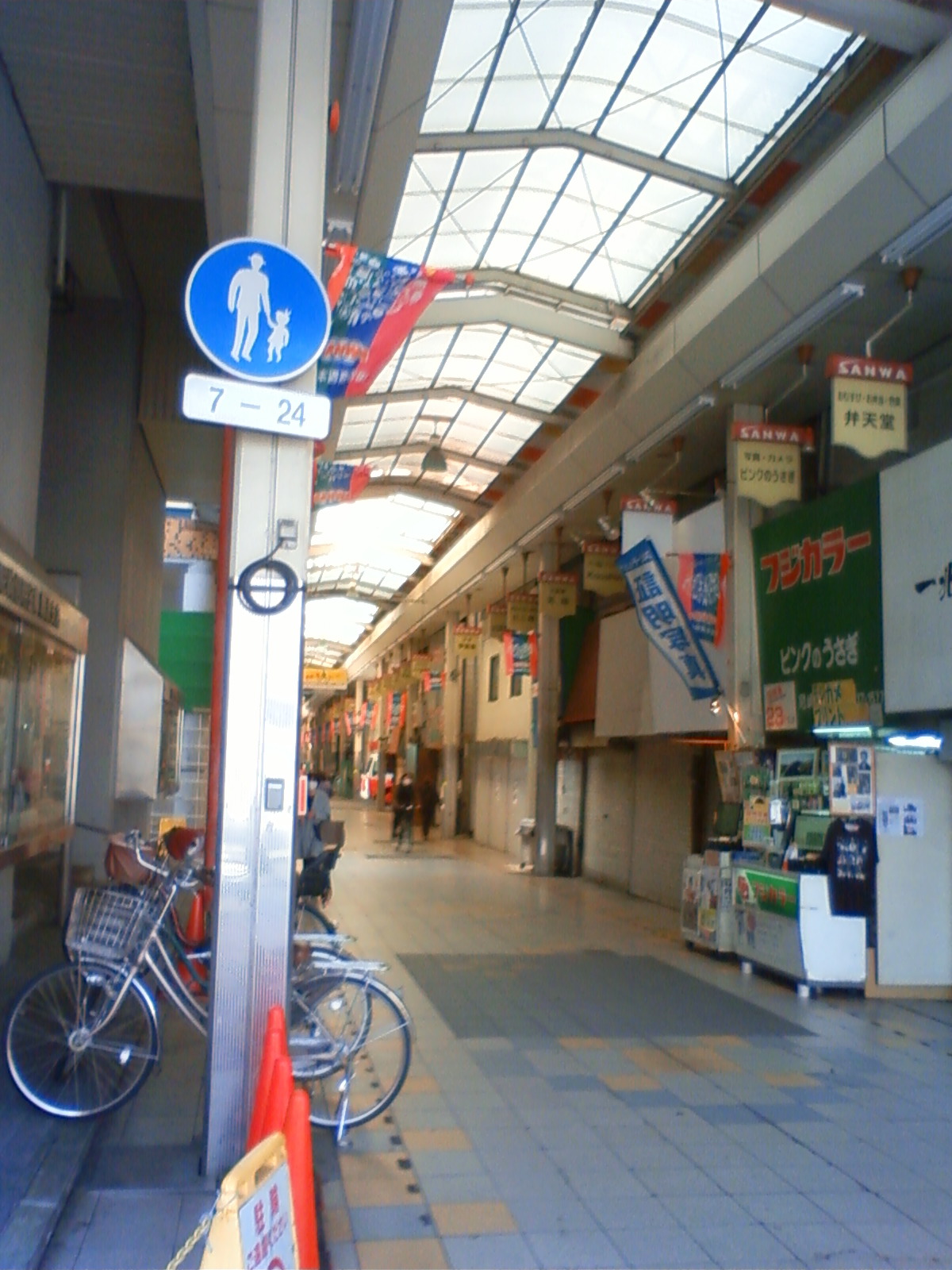 NEC_0980.JPG