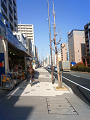 NEC_0985_thumb.png