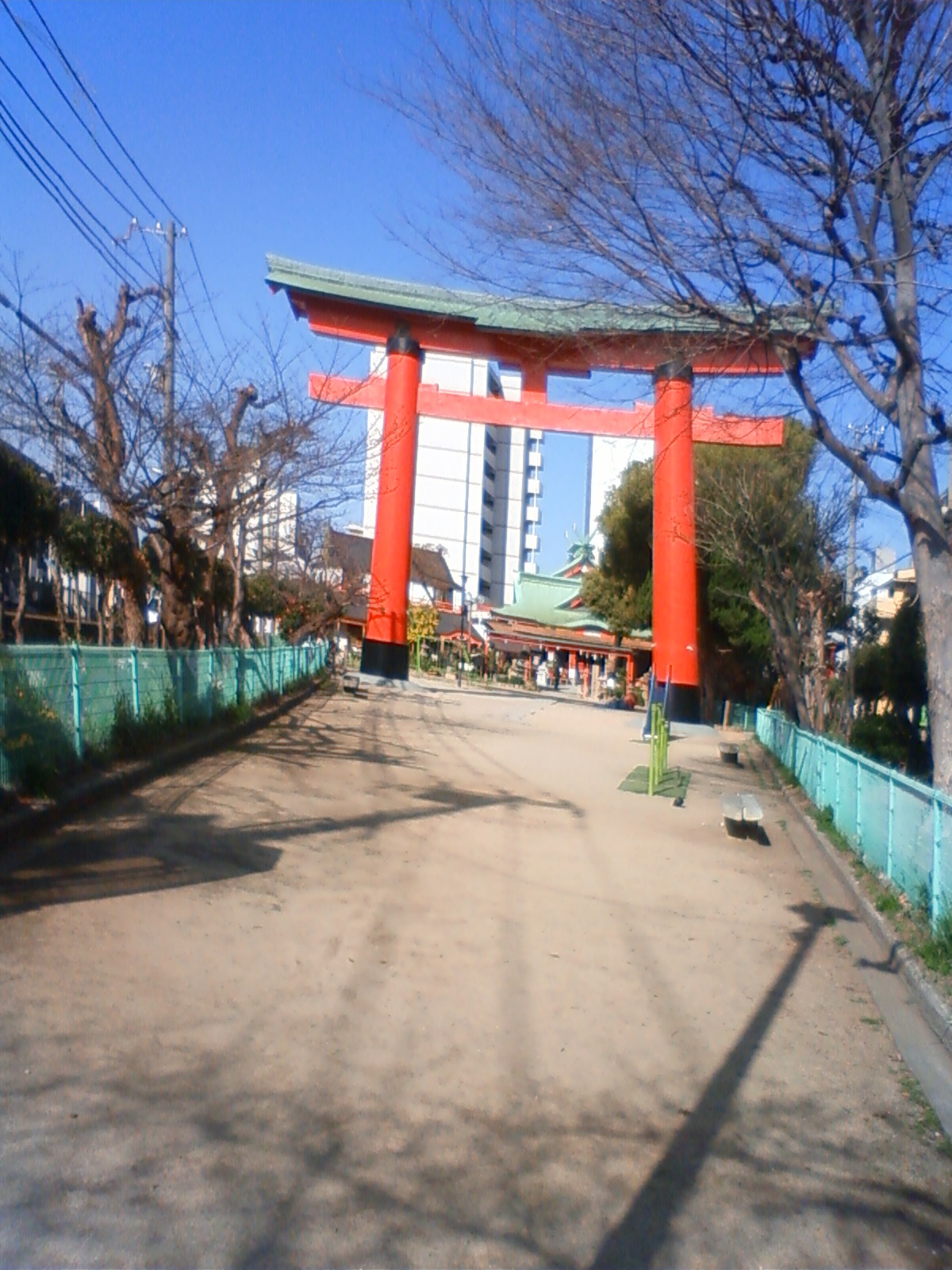 NEC_0987.JPG