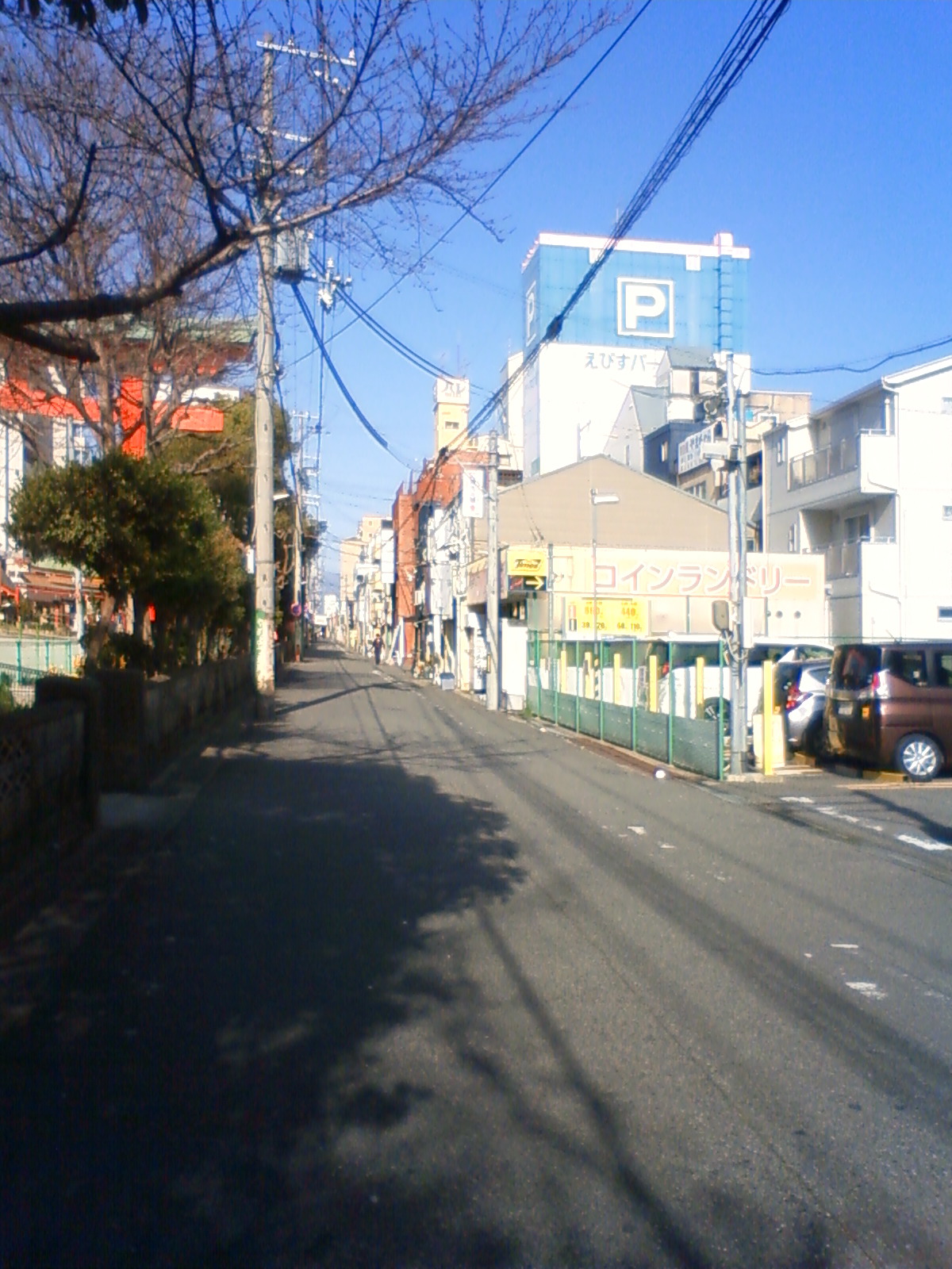 NEC_0989.JPG