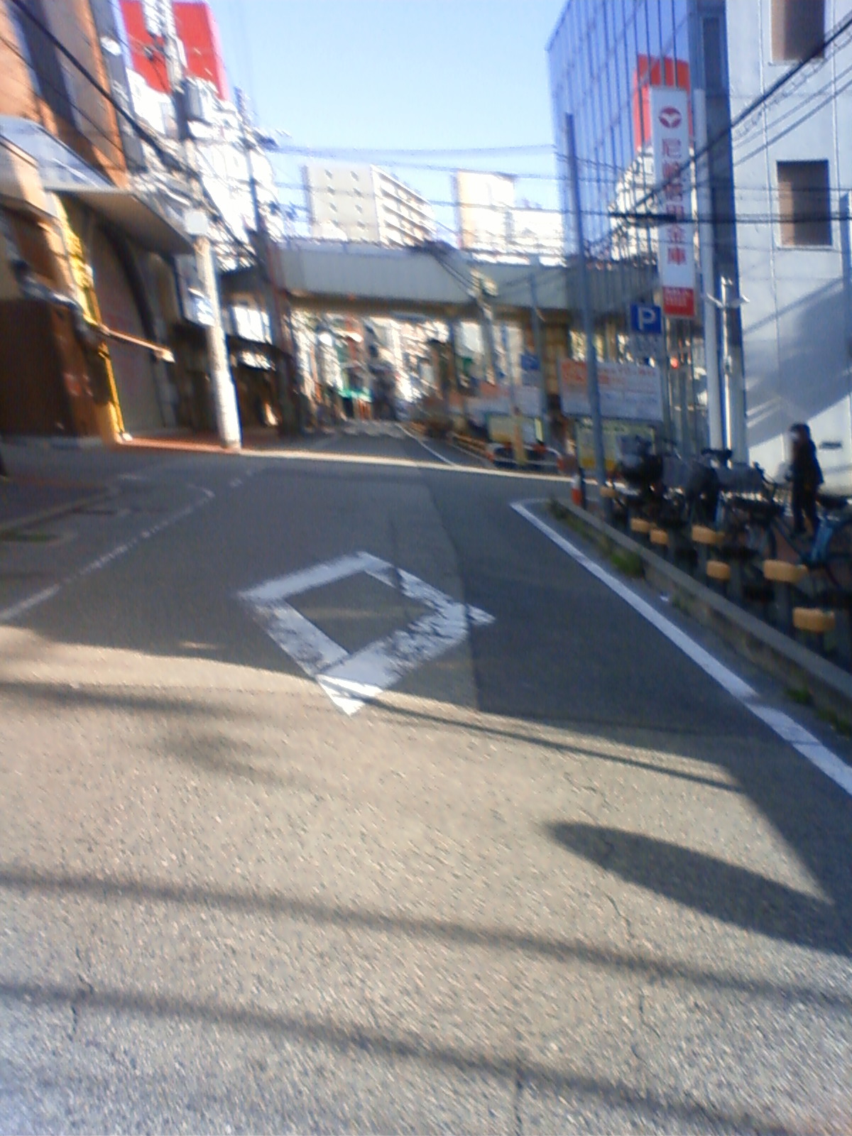 NEC_0990.JPG