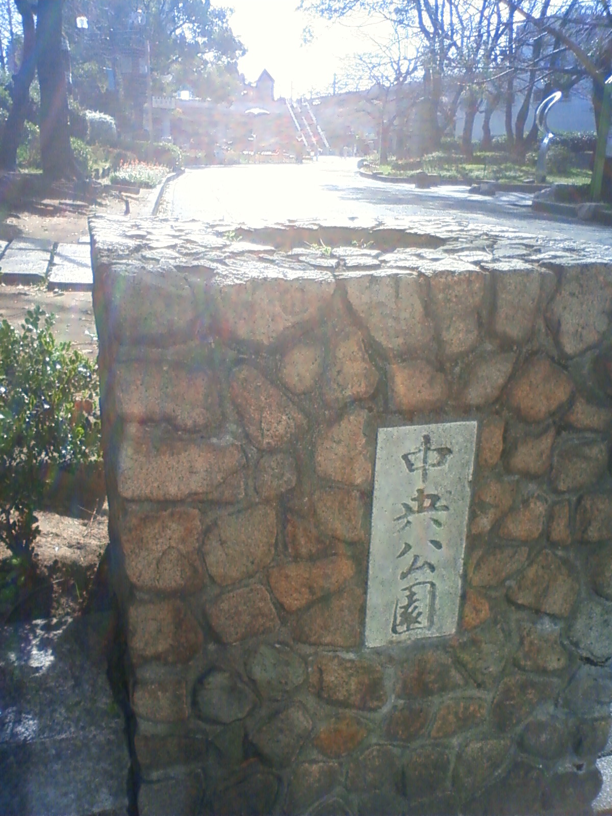 NEC_0993.JPG