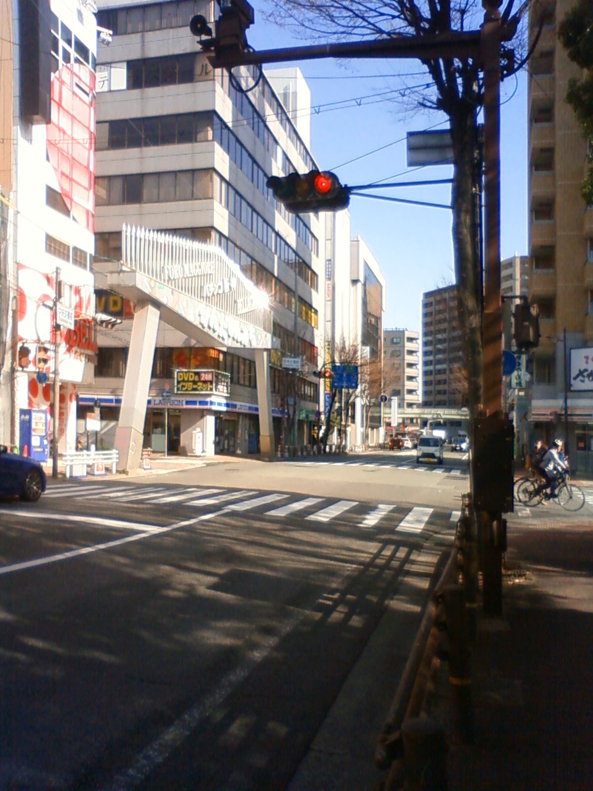 NEC_0995.JPG