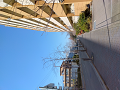 IMG_2024-01-07-10-17-22-578_thumb.png