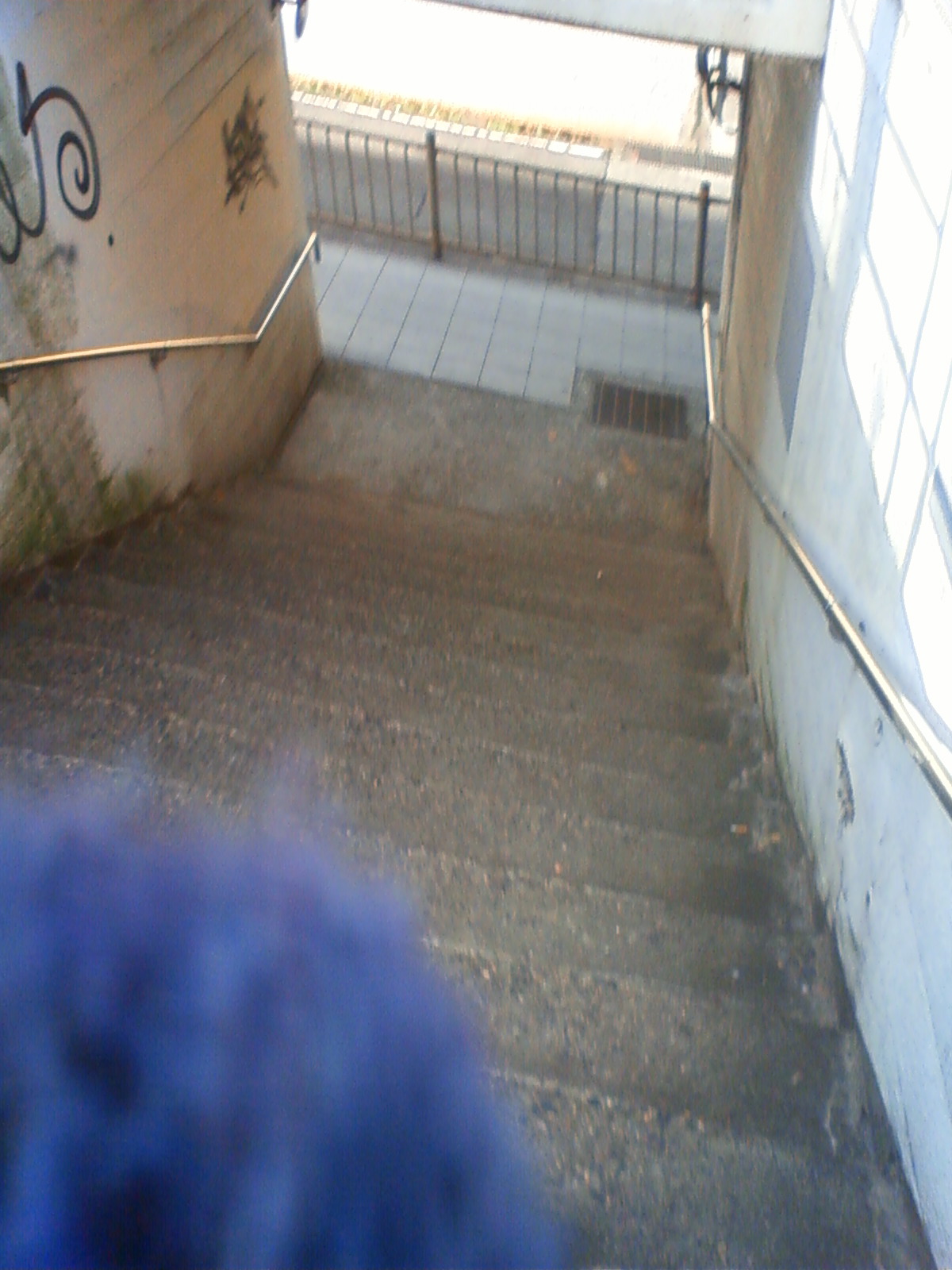 NEC_2702.JPG