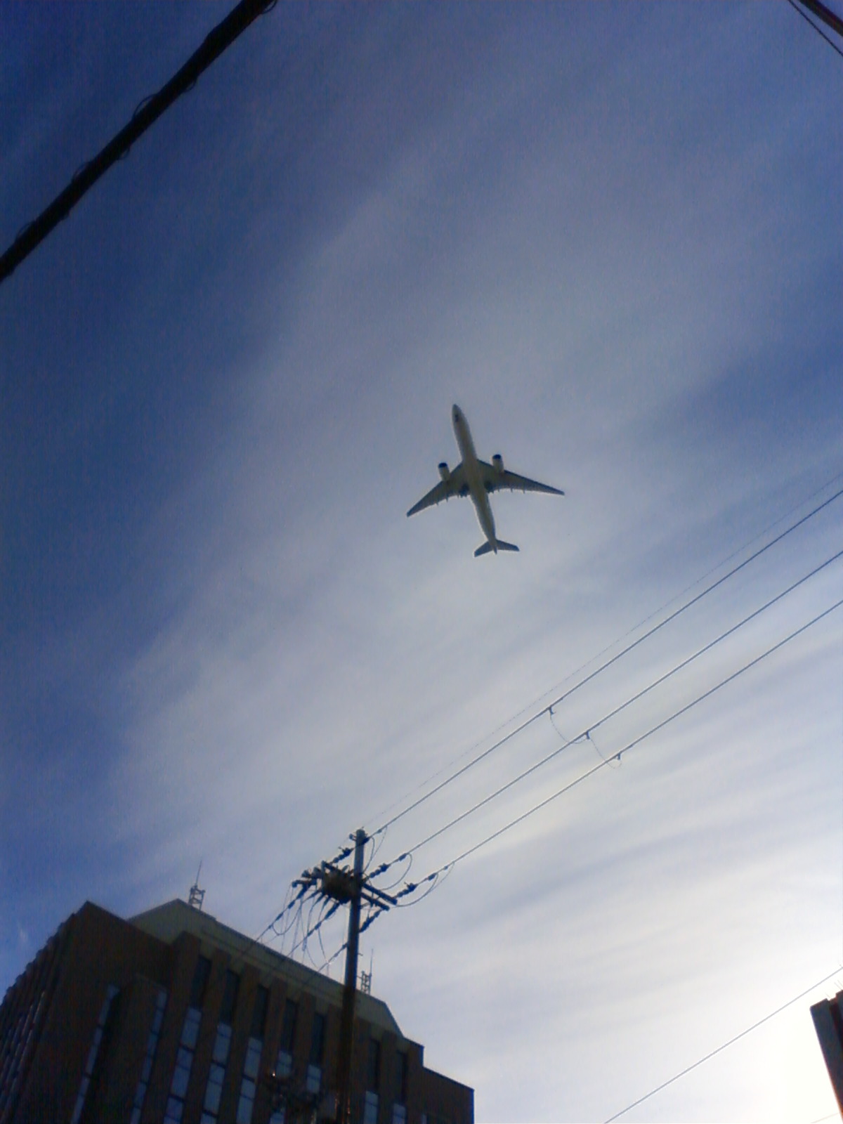 NEC_2708.JPG