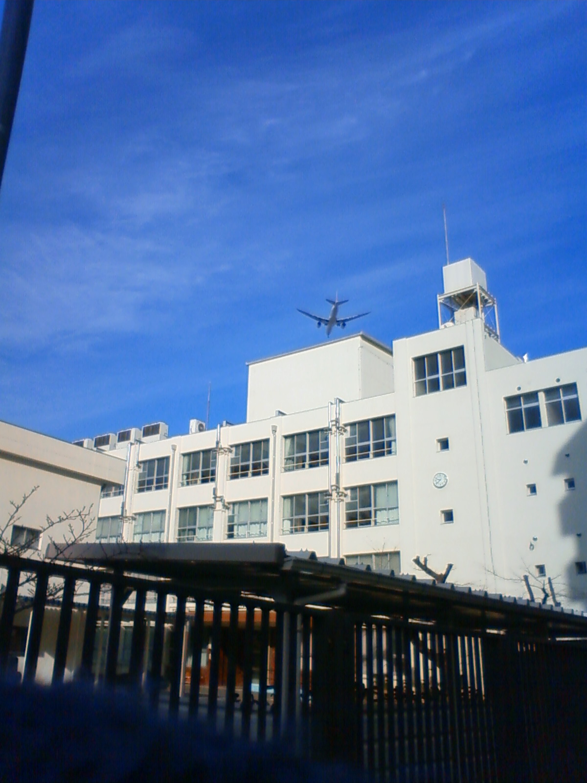 NEC_2709.JPG