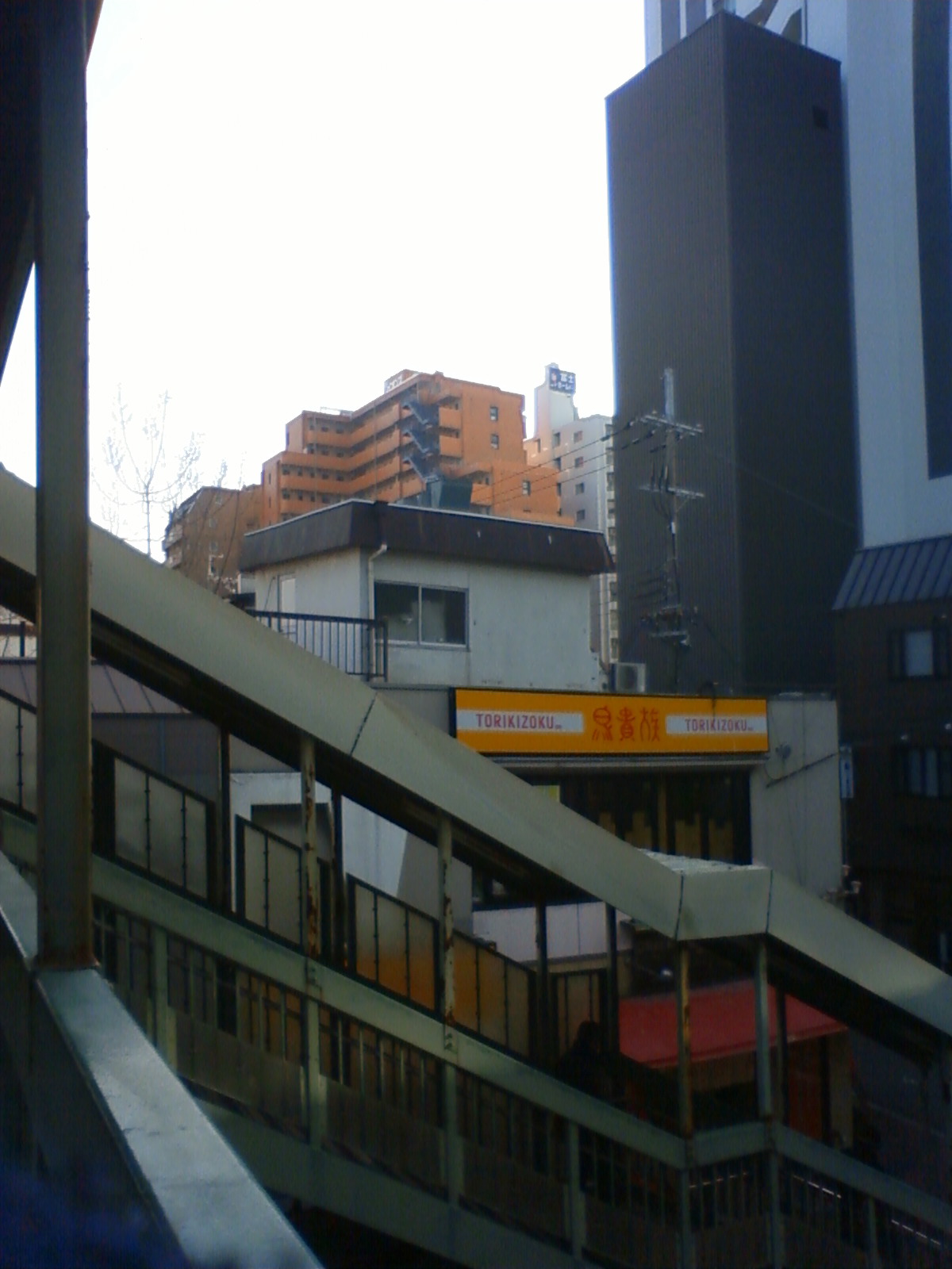 NEC_2732.JPG