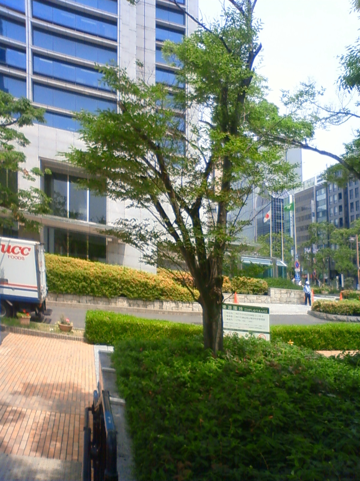 NEC_2158.JPG