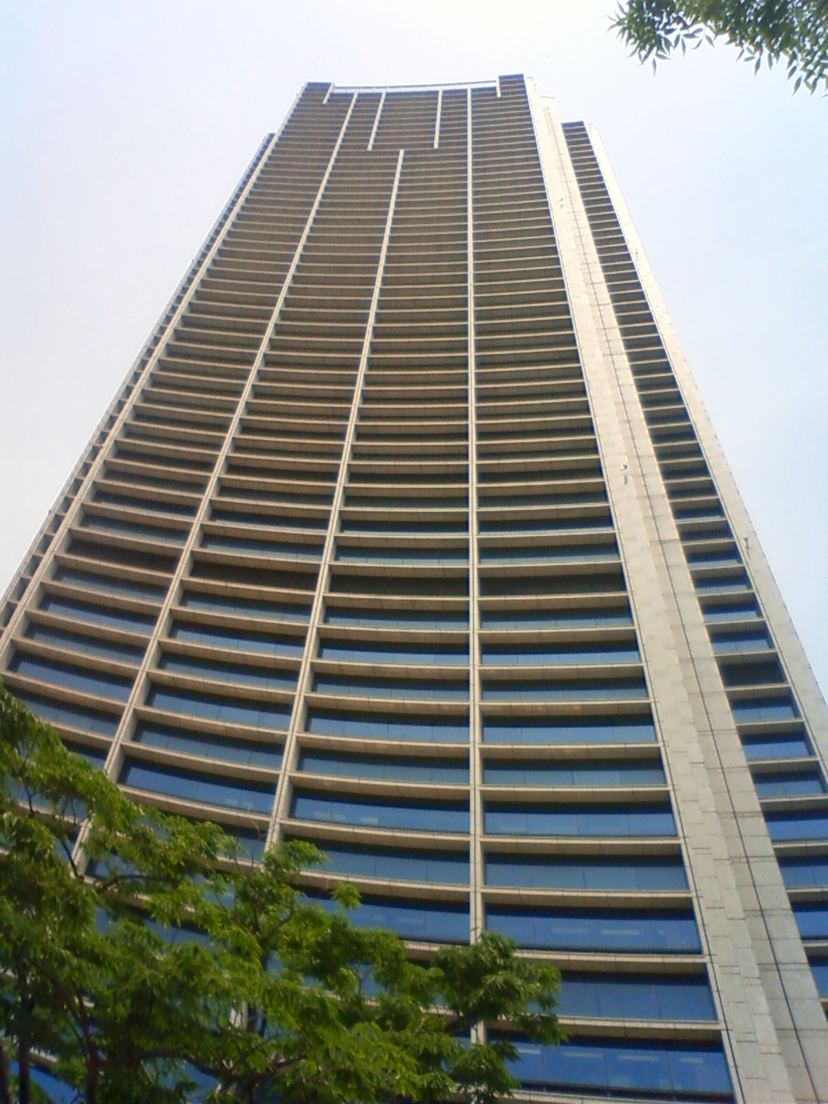 NEC_2159.JPG