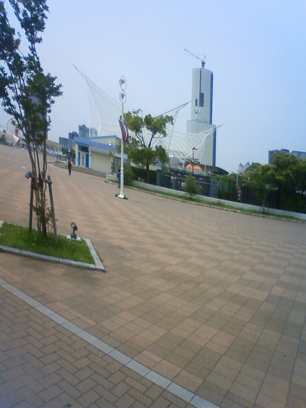 NEC_2178.JPG